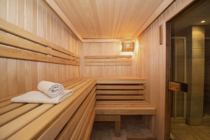 Home Type Sauna 